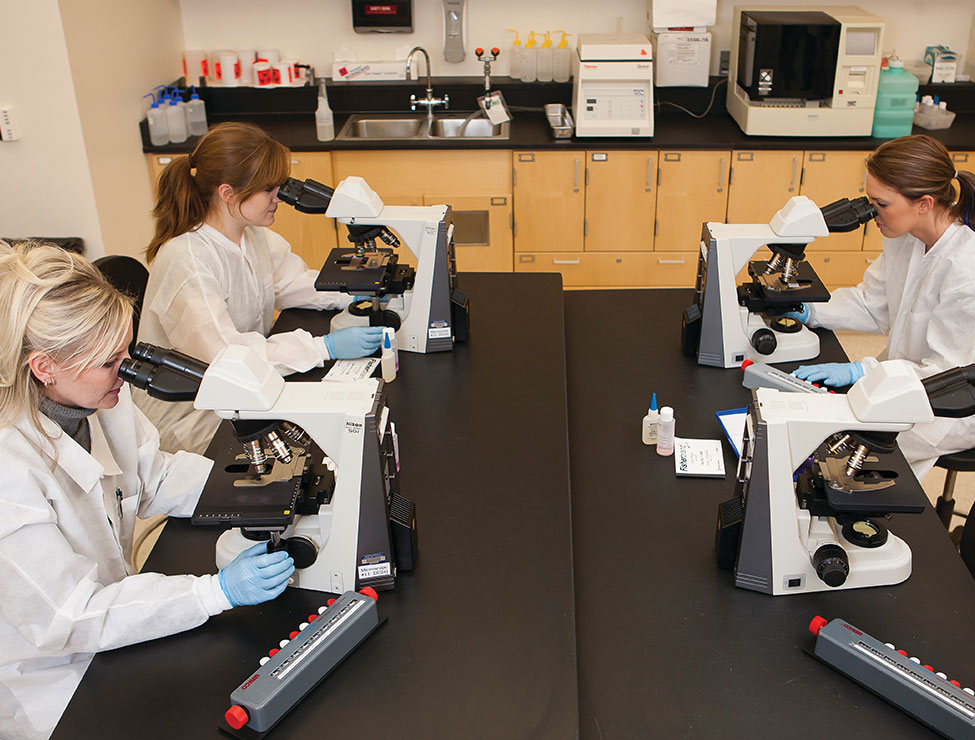 Scientists looking at microscopes in lab