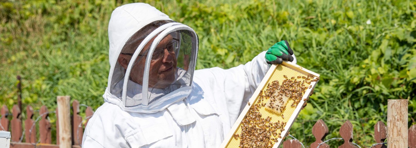 Beekeeping