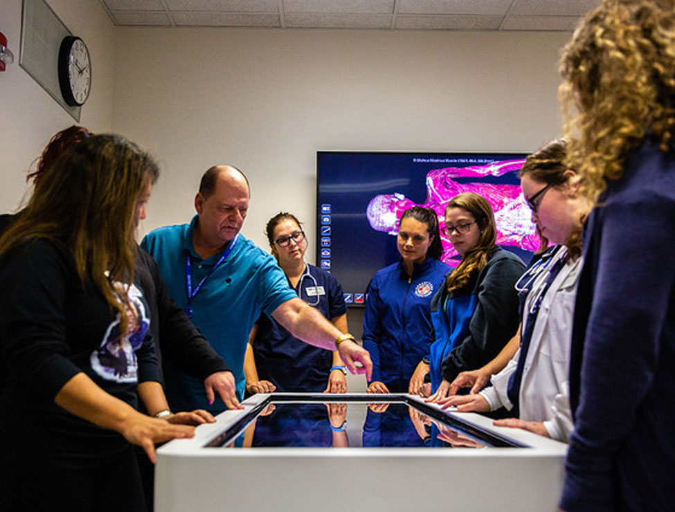 Student surrounding digital anatomy model