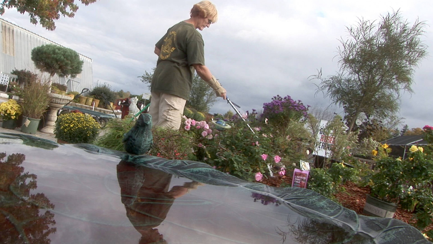 Landscape Horticulture worker feeding plants