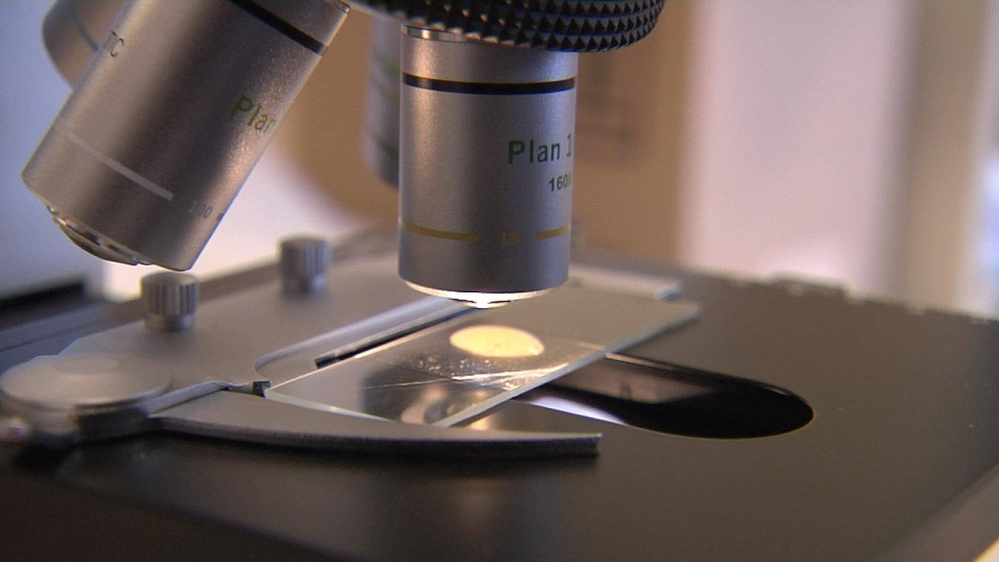 Technician checking water quality under a microscope